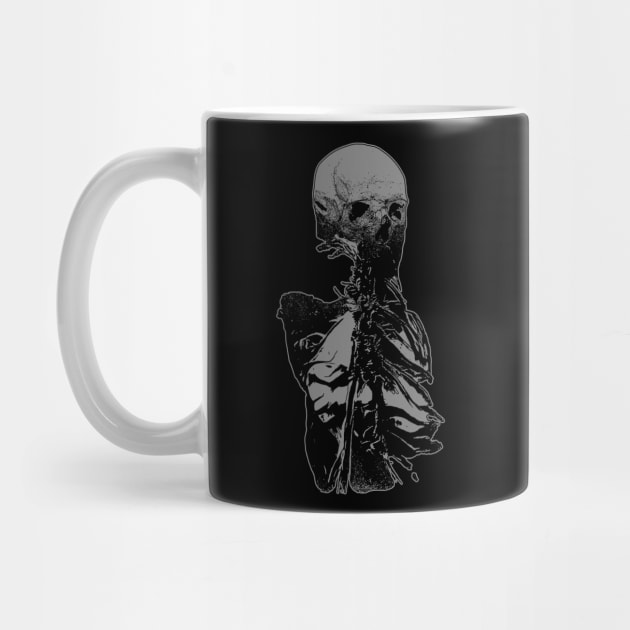 Skeleton Torso by TORVENIUS